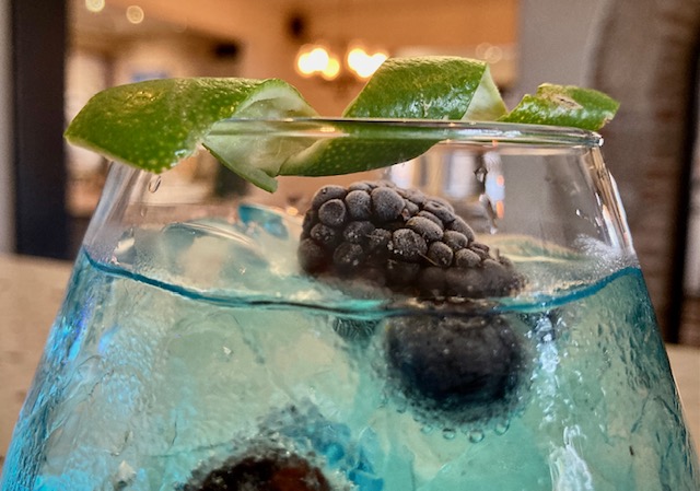 Blue Bombay Gin & Tonic